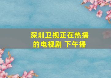 深圳卫视正在热播的电视剧 下午播